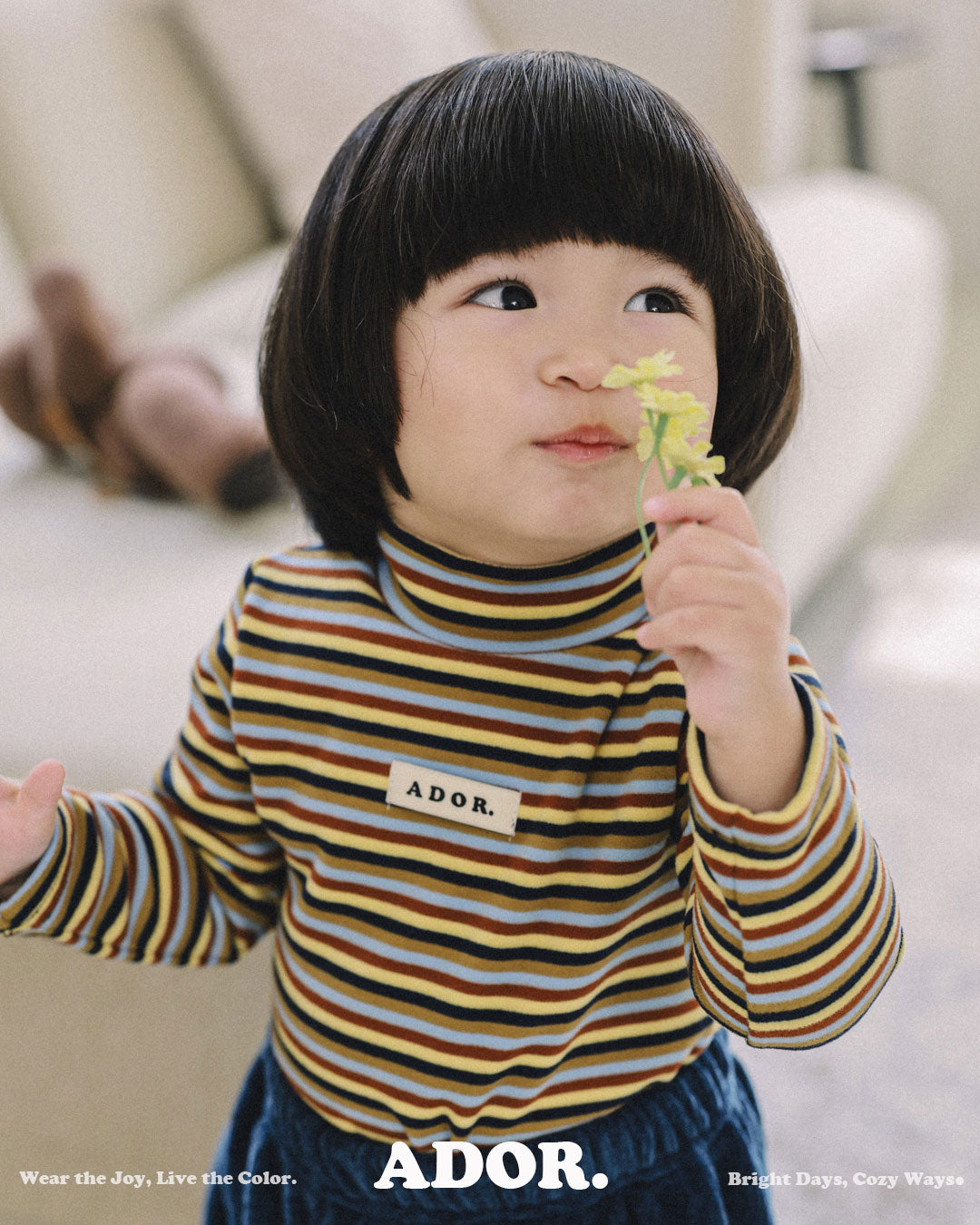 Ador.｜ボーダー半ハイネックTシャツ【取り寄せ】