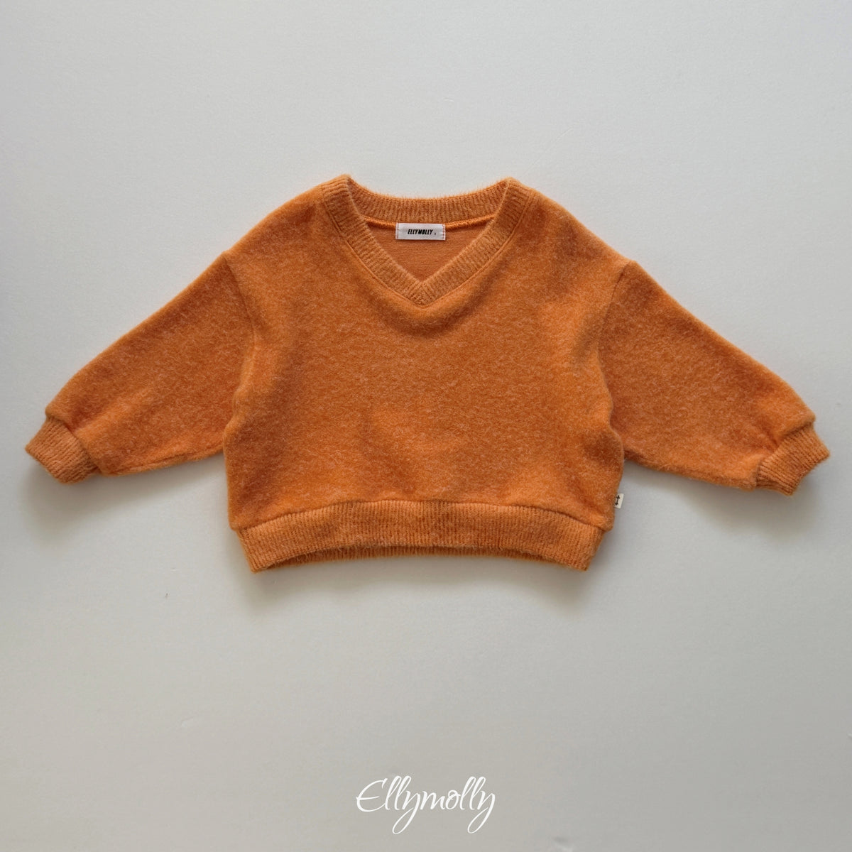 ELLY MOLLY｜シカゴブラッシュ Vネックトップス【予約商品】