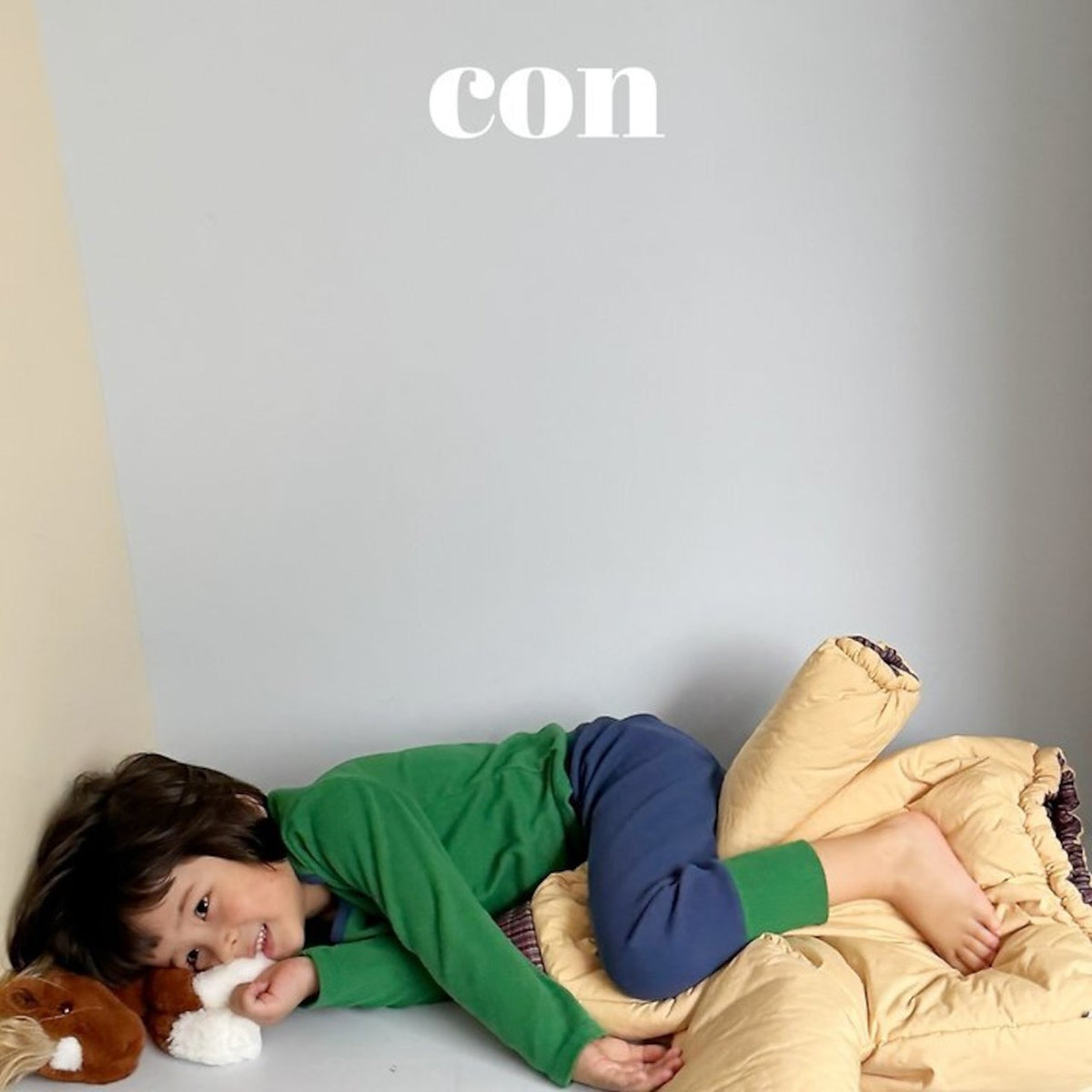 CON │ レゴカラーブロックT【予約商品】